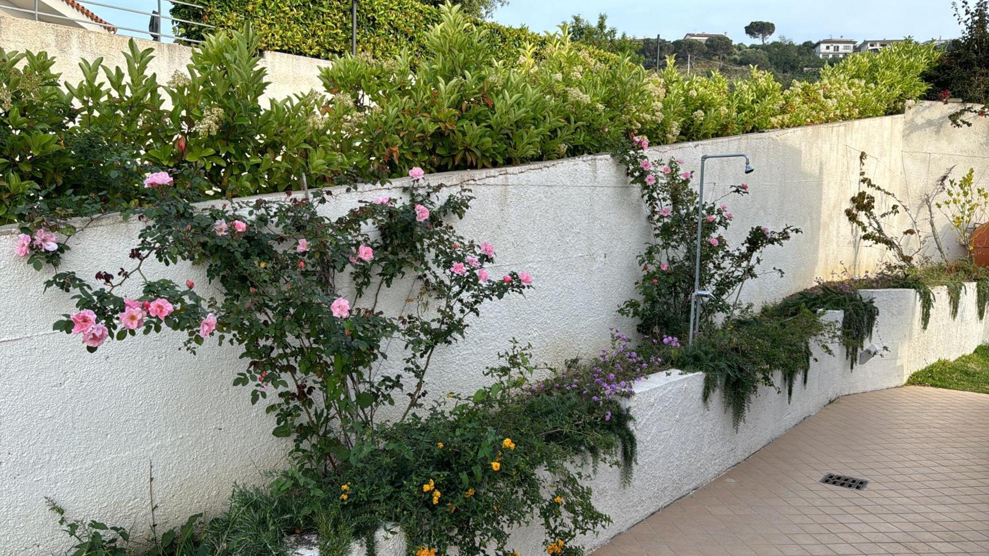 Villa Dei Fiori แซมโบรเน ภายนอก รูปภาพ