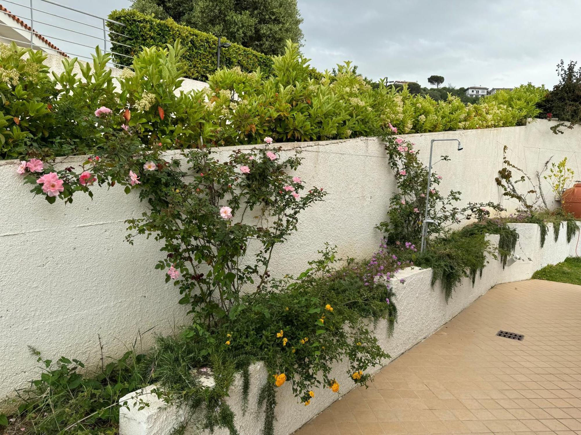 Villa Dei Fiori แซมโบรเน ภายนอก รูปภาพ